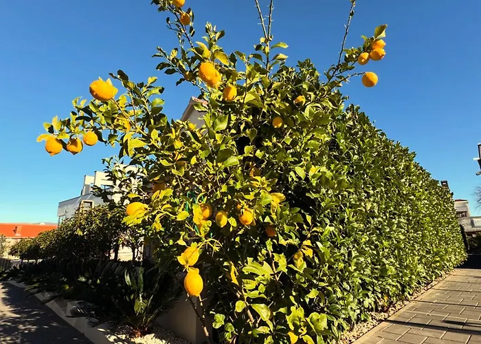 Vila Luxury Sundance